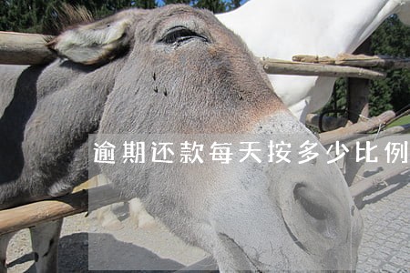 逾期还款每天按多少比例计算利息 逾期还款每天按多少比例计算利息