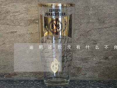 逾期还款没有什么不良影响 逾期还款没有什么不良影响