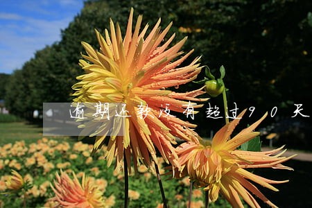 逾期还款没有超过90天 逾期还款没有超过90天