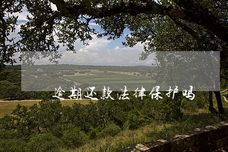 逾期还款法律保护吗 逾期还款法律保护吗