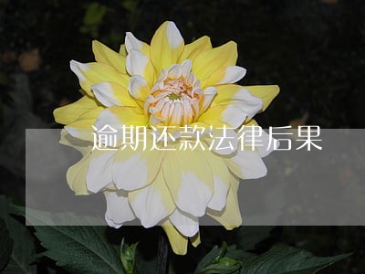 逾期还款法律后果 逾期还款法律后果