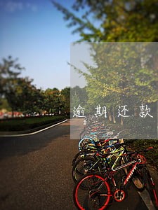 逾期还款法律后果是什么 逾期还款法律后果是什么