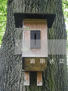 逾期还款法律程序 逾期还款法律程序