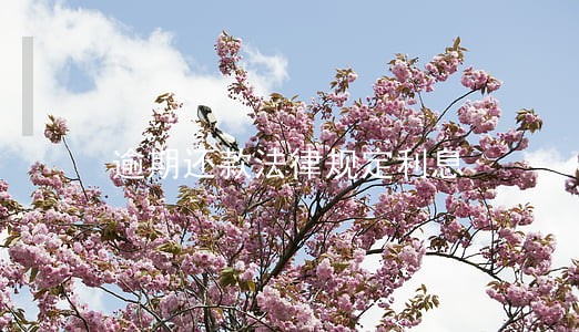 逾期还款法律规定利息 逾期还款法律规定利息
