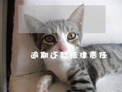 逾期还款法律责任 逾期还款法律责任