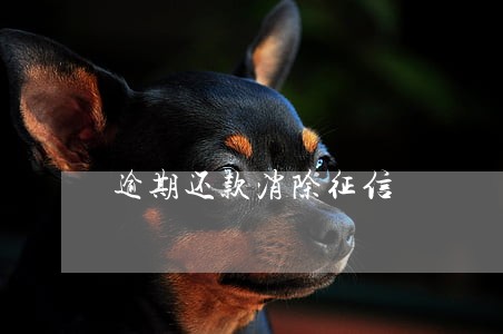 逾期还款消除征信 逾期还款消除征信