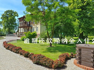 逾期还款滞纳金入什么科目 逾期还款滞纳金入什么科目
