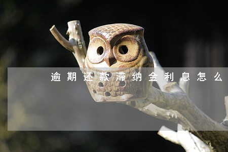 逾期还款滞纳金利息怎么算 逾期还款滞纳金利息怎么算