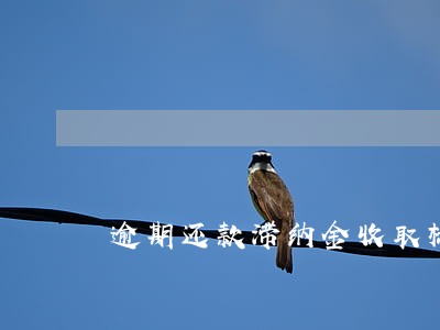 逾期还款滞纳金收取标准 逾期还款滞纳金收取标准