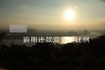 逾期还款滞纳金比例 逾期还款滞纳金比例