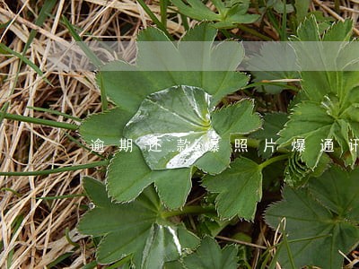 逾期还款爆照片爆通讯录 逾期还款爆照片爆通讯录