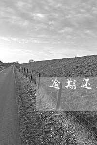 逾期还款现已冻结 逾期还款现已冻结