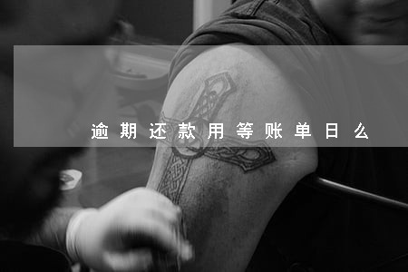逾期还款用等账单日么 逾期还款用等账单日么