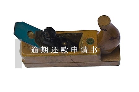 逾期还款申请书 逾期还款申请书
