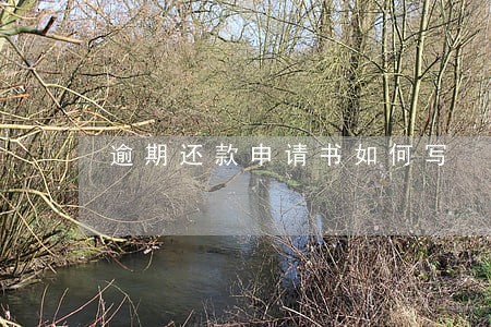 逾期还款申请书如何写 逾期还款申请书如何写