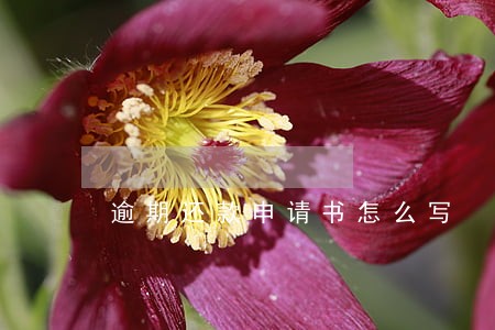 逾期还款申请书怎么写 逾期还款申请书怎么写