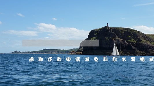 逾期还款申请减免利息书写格式 逾期还款申请减免利息书写格式