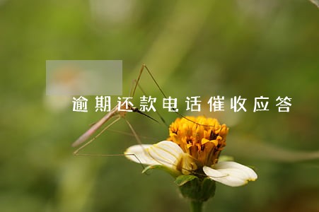 逾期还款电话催收应答 逾期还款电话催收应答