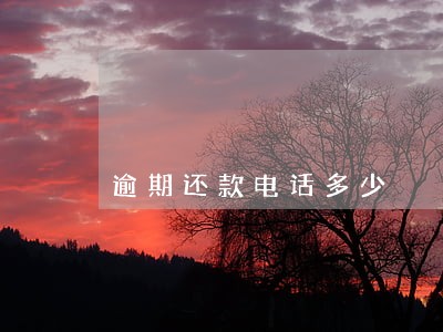 逾期还款电话多少 逾期还款电话多少