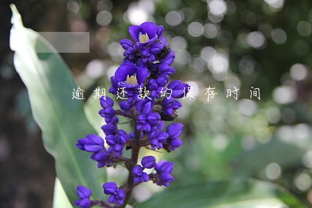 逾期还款的保存时间 逾期还款的保存时间
