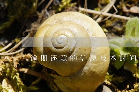 逾期还款的信息技术时间 逾期还款的信息技术时间