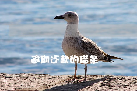 逾期还款的借条 逾期还款的借条