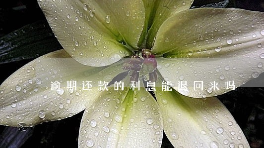 逾期还款的利息能退回来吗 逾期还款的利息能退回来吗
