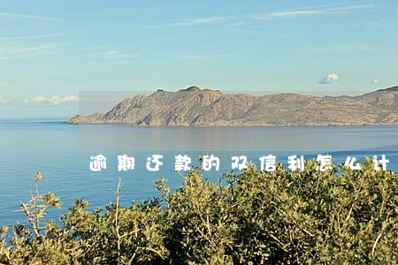 逾期还款的双信利怎么计算息 逾期还款的双信利怎么计算息