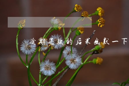 逾期还款的后果幽默一下 逾期还款的后果幽默一下