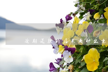 逾期还款的后果是什么意思 逾期还款的后果是什么意思