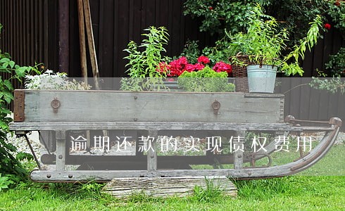 逾期还款的实现债权费用 逾期还款的实现债权费用