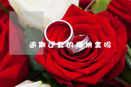 逾期还款的滞纳金吗 逾期还款的滞纳金吗