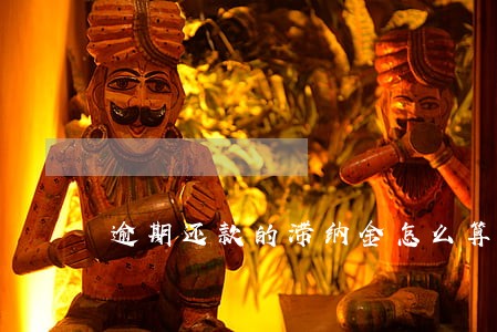 逾期还款的滞纳金怎么算的 逾期还款的滞纳金怎么算的