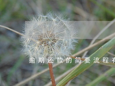 逾期还款的简要流程有那些 逾期还款的简要流程有那些