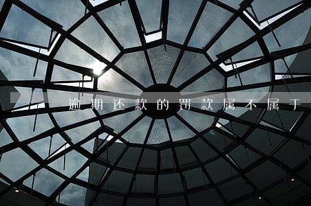 逾期还款的罚款属不属于财政 逾期还款的罚款属不属于财政