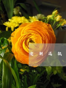逾期还款的证明 逾期还款的证明