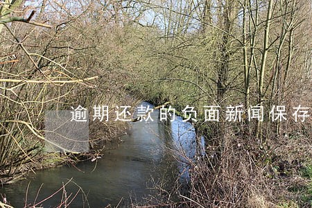 逾期还款的负面新闻保存时间