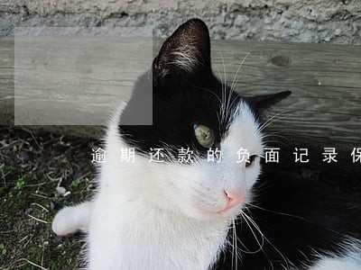 逾期还款的负面记录保存时间 逾期还款的负面记录保存时间