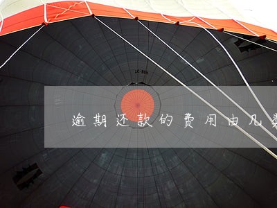 逾期还款的费用由几类 逾期还款的费用由几类