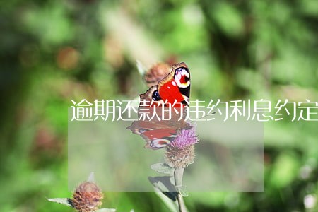 逾期还款的违约利息约定 逾期还款的违约利息约定