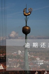 逾期还款的违约金 逾期还款的违约金