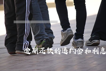 逾期还款的违约金和利息 逾期还款的违约金和利息