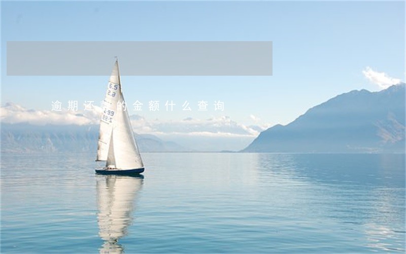 逾期还款的金额什么查询 逾期还款的金额什么查询