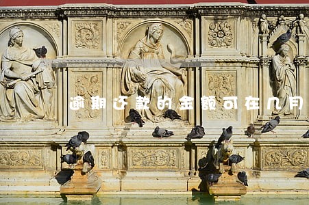 逾期还款的金额可在几月查询 逾期还款的金额可在几月查询