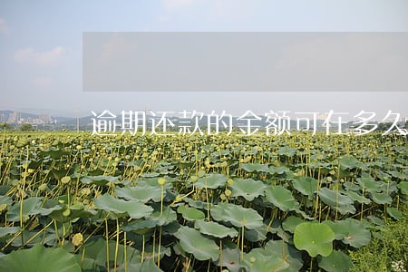 逾期还款的金额可在多久查询