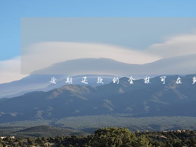 逾期还款的金额可在多少号查询 逾期还款的金额可在多少号查询