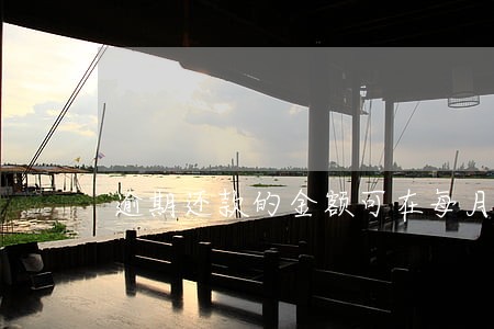 逾期还款的金额可在每月查询 逾期还款的金额可在每月查询