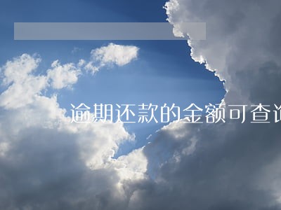 逾期还款的金额可查询 逾期还款的金额可查询
