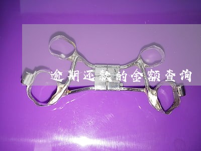 逾期还款的金额查询 逾期还款的金额查询