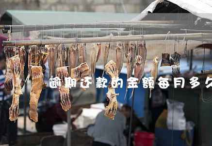 逾期还款的金额每月多久可以查询 逾期还款的金额每月多久可以查询